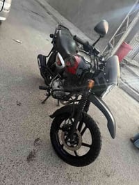 07838460172 كفالة ماشية ٣١ مرقم بغداد   ناعمه ونظيفه تخبل بً٢٧٥٠ وبيها...