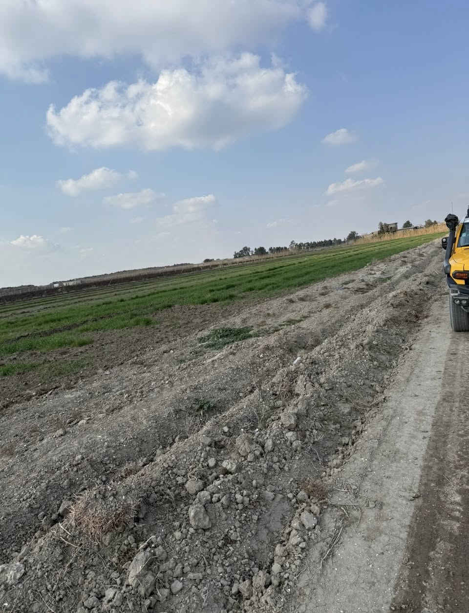 السلام عليكم عندي دوانم طابو زراعي سند 25 فتح بيان وتحويل بالطابو تكدر تسويها مزرعه  موجود كهرباء وموجود مي اساله وسكن موجود في المنطقه وكل الخدمات من مدارس واسواق ومحلات كلشي موجود شارع الارض 8 متر وجه الدونم الواحد 37 متر سعر الدونم 50 واكو ب60 مليون مليون الموقع بغداد التاجي بالقرب من ذراع دجله واليجي ما ارجعه فارغ ***********
