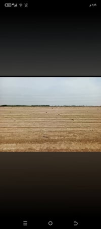مزرعه • لايجار • أم قصر