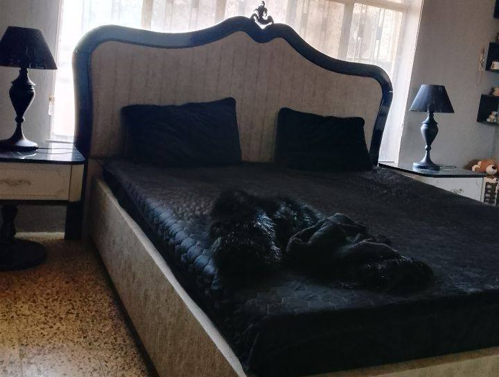 تخت تركي كلاسيك مودرن 
السعر ٤٥٠


**إذا كنت صاحب هذا الإعلان وتريد حذفه لأي سبب، رجاءا أرسل رسالة إلى الدعم الفني**