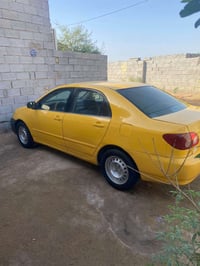 كورله • وارد امريكي • البصرة