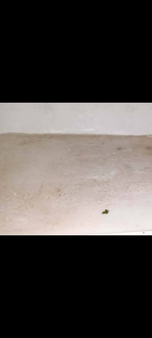 بيع مستعجل ثلاجه حجم ٢٠ السعر ١٧٥ وضع شكركه شرط التجميد العنوان موصل حي صدام الشاري يتفضل خاص


**إذا كنت صاحب هذا الإعلان وتريد حذفه لأي سبب، رجاءا أرسل رسالة إلى الدعم الفني**
