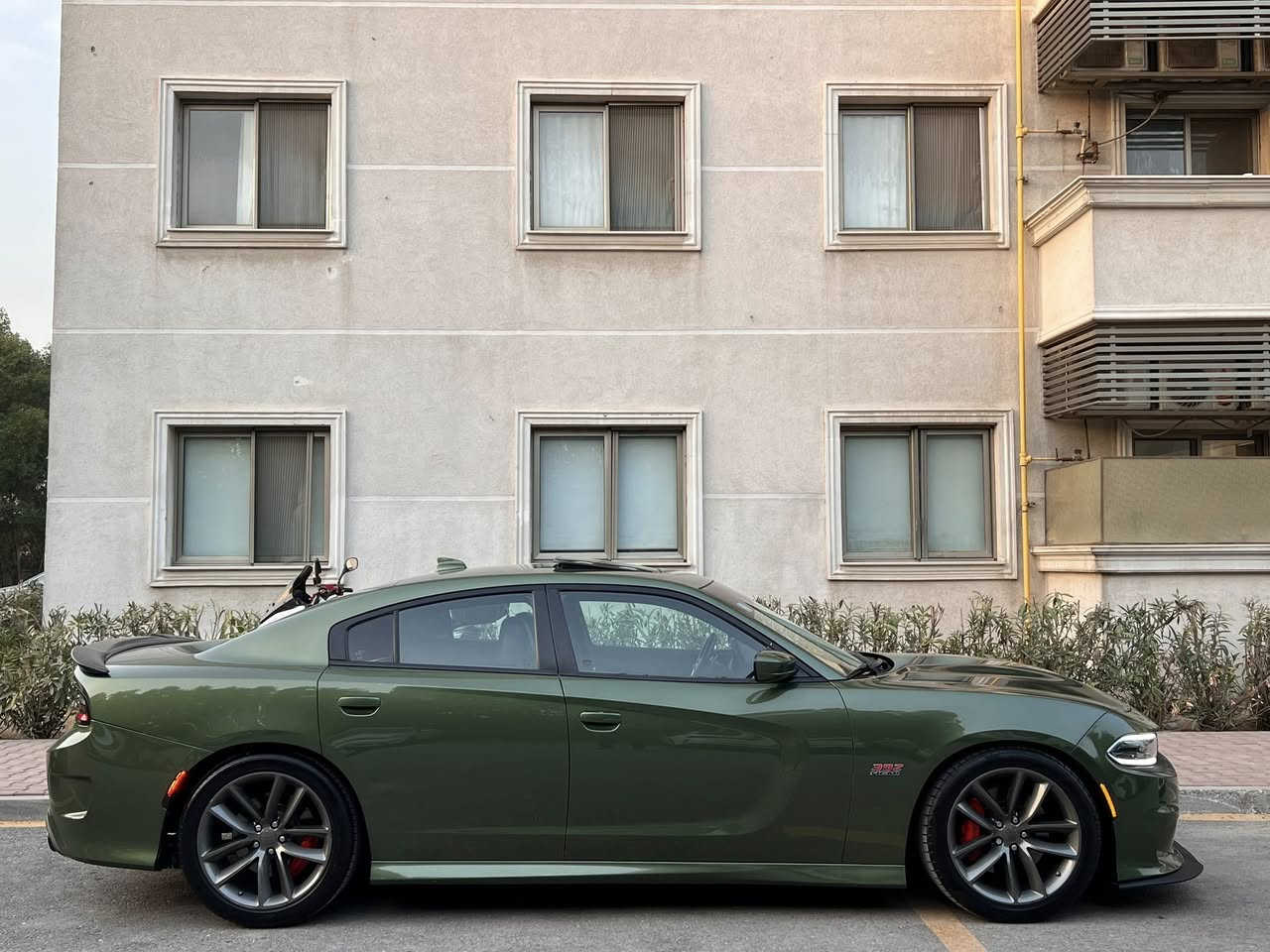 السلام عليكم …🌹🔥
للبيع دوج چارجر سگات باگ 🐝 موديل 2018 بدي اصل SRT سوبر تراك باك بلادي لون زيتوني السياره فول مواصفات ١/١ للاخير عدا رادار فقط وارد امريكي ضررها نص بنيد ونص جاملغ ونفسهن مصبوغات بدون تبديل وصور حادث وسونار موجودات وباب وره سياق صبغ السياره بدون اي نقص ماشيه 86mi شرط كير ومكينه وصدر جديد مبدل تراي بدوه اي رجه السياره رقم بغداد ( سنويه باسمي ) هزه وفحص مسويه جديده وعليه رقم حلو وياها السياره ايدي بيه وصور واضحه كدامكم بدون اي نقص ….
مواصفات ….
________________________________________
بصمة
فتحه
داخل كنتارا مختوم سكات
خزن ميموري 
كشنات حضن 
تدفئه وتبريد بالكشنات الاماميه
تدفئه بالكشنات الخلفيه
تدفئه سترين
سستم سماعات بيتس
دمام خلفي
كلاصات تبريد وتدفئة
فجوج برمبو ٤ بستم
نظام LAUNCH 
نظام  DRIVE  MODES
شاشه كبيرة 8.5 أنج جميع الاوبشنات مفتوحه
كير 8 نمر 
شفتات استرين
حساسات خلفية بلادي 
كشافات زينون 
منظومه زينون شادله 
كامره خلفيه دواره فول HD
دبلات صفر SRT
ويل گب دايتونا
ولف حماوة ريسنك انسى حماوه صيف وشتى
اكسل قفل 
فصله بلاديه ممفتوحه
دبات سود SRT
احزمة لون اخضر
شوتة رياضيه
دكمة سبورت
رقم الشاصي( 2C3CDXGJ4JH318942 )
مسويله تفريغ ونعمه صوت حلوه
وبعد بيه هوايه مواصفات اخوان كل تفاصيل ذكرته وشداله تخم تاير جديد وصدر جديد مسوي تراي زيرو وسياره بدي SRT اصل يعني شوفته مال موديل 23 وسياره 6400 اصل بالسنويه وبدون اي نقص  واستخدام شخصي بيه سونار من بدي كار وراح ارفق رقم شاصي وصور حادث موجوده ع واتساب والسياره عارضه بسعر حلو مال بيع … 
مكاني بغداد / حي الجامعة
السعر / 205 $ وبيه مجال بسيط 
للاستفسار اكثر / ***********
اسف ع الاطاله 🌹
