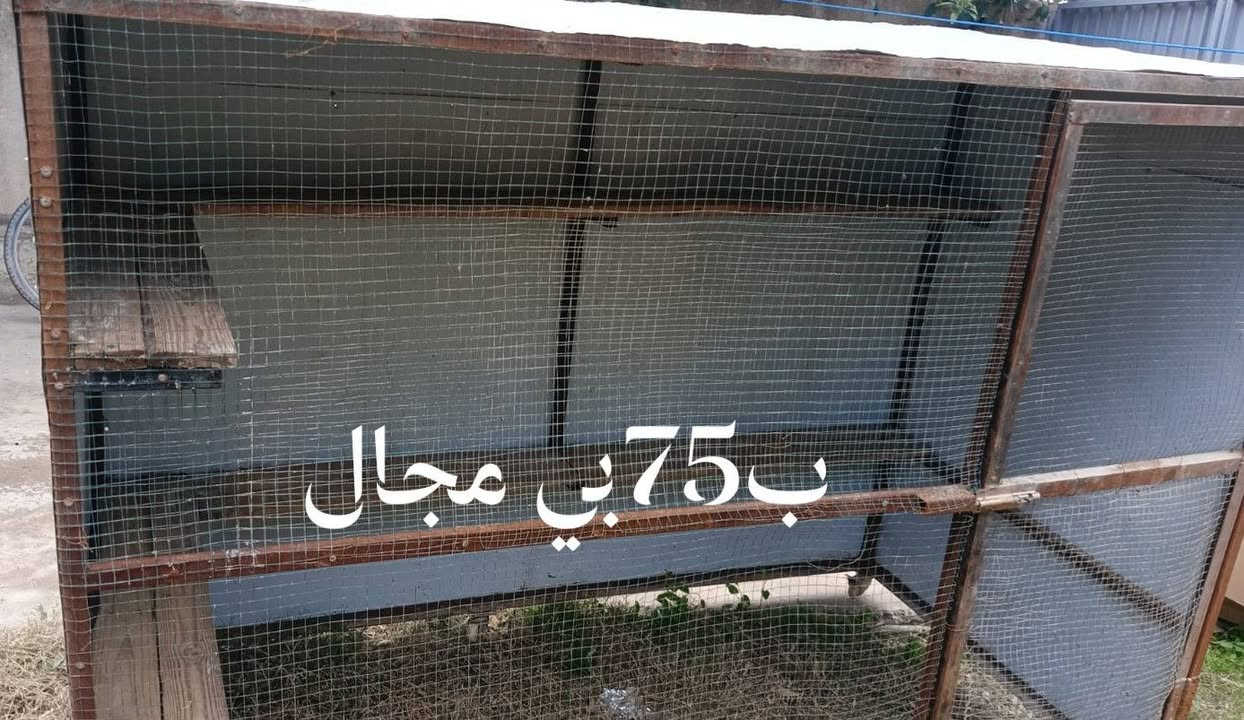 *********** 

الاستفسار على رقم
