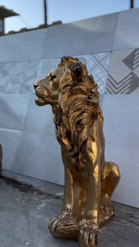 �🦅 قطع ديكورية مميزة لحدائقكم تعطي المكان طابع الفخامة والجمال 🏡✨ أضف ...