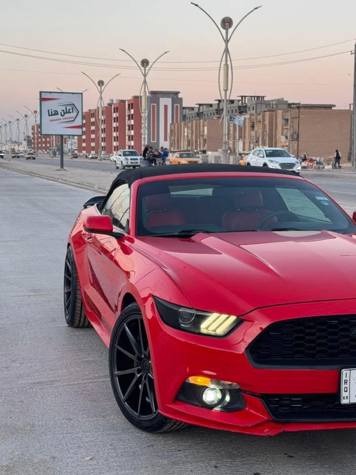 فورد موستنك / ايكو بوست
2017 -2017-2017❤️‍🔥كـشف 
-
كـشف جديد شغال مع الماطورات
-ابل كاربلاي
-اندرويد اوتـو
-لدات مخفي متغير محيطي/ 100$
-ويل فويزن الاصلي تو سايز🐦‍🔥
-تايرات 275 تخم جدد
-تدفئة كشنات 
-تبريـد كشنات
-هيتر بل مري
-اشاير بل مري
-ستيرن3️⃣وضعيات sport/comfort/normal
-السيارة بيه 4️⃣مودات /سبورت بلس /وضع المطر/التراك مود/النورمال
،
-شفتات ستيرن
-دواخل جلد احمر 
-سبويلر gt 500شيلبي 
-دشبول 7 الوان  
السيارة ماداخلة حلبة استخدام خفيف ولمكينة بجيس السيارة برغي متصرف عليهه❤️‍🔥♾️
-السيارة برمجة طلال + ملف ستوك 
-عليهه تفريغ يم علي الوادي
-داون بايب يم علي الوادي 
من خلال هاذ لمنشور حاب اوضح صورة عن موضوع الايكو بي مشاكل عن تجربة السيارة النضيفة دهن وبانزين وانساهه تفحيط ما تفحيط ماتحك راسك منهه واقوة من 6 سلندر  وبيه شلعة تاخذ الارتيات وتاخذ الي بمستواهه..❤️‍🔥✈️---الضرر-جاملغ خلفي بارد ووعكسه هم بارد بدون قطرة صبغ بدون ضربة بدون ايرباك للاستفسار ***********/***********
