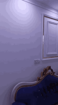 صباغ درجه اولى
اصباغ ديكور سقوف ثانويه انواع الصباغ

والديكور وتصليح الرطوبه 
بغداد ***********
