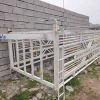 اسلام عليكم ورحمة الله وبركاته محجل للبيع فصال درجه اولى مال كية بعيرة...