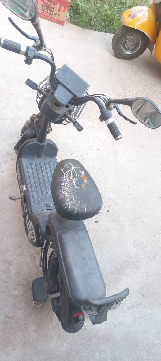 سلام عليكم
دراجه شحن لبيع  دراجه نضيفه وحجمها 16  نقصها بس بطاريات   ومامستعمله هواي  سعرها 150 الف وبيها مجال


**إذا كنت صاحب هذا الإعلان وتريد حذفه لأي سبب، رجاءا أرسل رسالة إلى الدعم الفني**