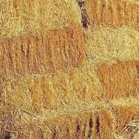 كبس • ٥٠٠وحدة • مستعجل
