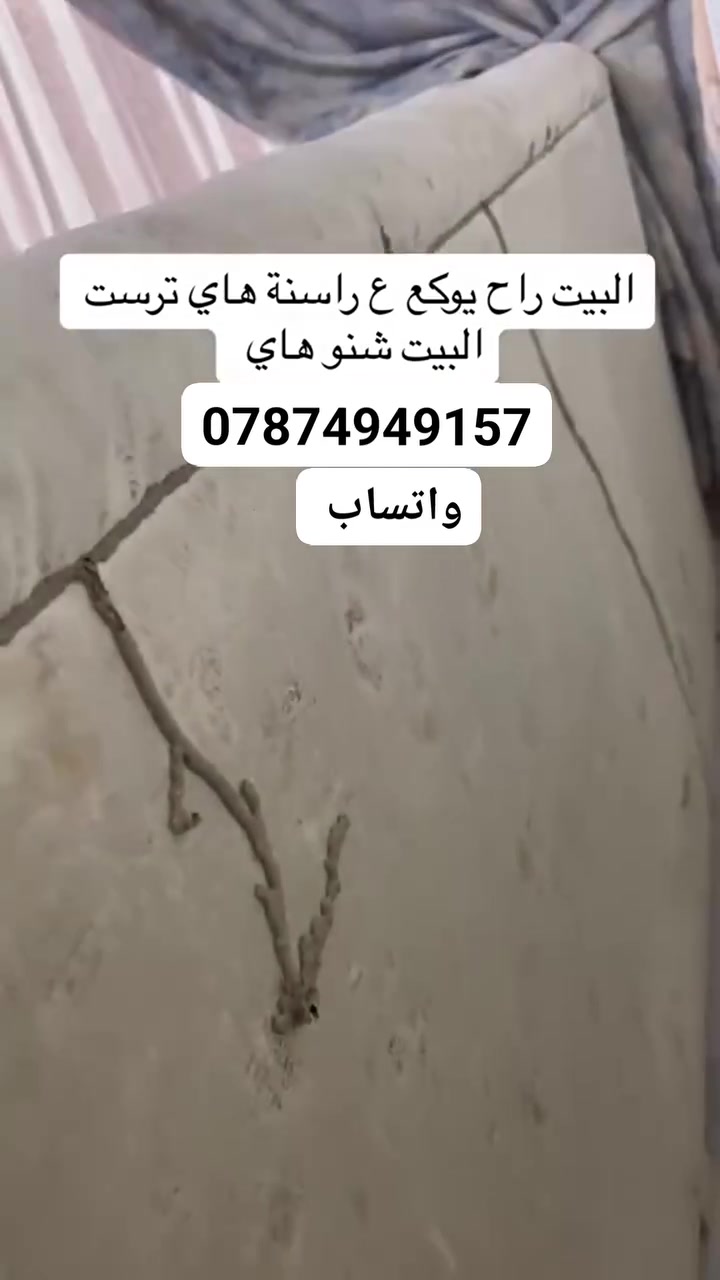 #مستمرين_في_مكافحة_حشرة_الارضة/***********////واتساب                                               
✅ مع شركة القلعه "المختص بكشف بجهاز السونار الحديث  ومكافحة حشرة الارضة"  

✅تتم المعالجة ماده فايروسيه عديمه رائحه لا تحتوي على مواد ضاره
 ليس هنالك داعي الاخلاء البيت

✅لا تشيل هم كلشي علينه تحويل وترتيب الاغراض وتنظيف البيت بعد العمل بوجود كادر متخصص 

✅نعمل في جميع انحاء  العراق

✅ضمان خمس سنوات 

✅مع شركةالقلعه #بيتك_في_أمان

للاستفسار مراسله الصفحة او الاتصال على الرقم
***********//واتساب 

ثقتكم سبب نجاحنا
✅مكتب مجاز من قبل نقابه العمال الزراعين في بغداد 

🌐 #بغداد #رمادي #النجف #كربلاء.#المنصور #بياع #الشعلة #الديوانية #السماوه #كراده #بغداد #العراق #العراق. #مكافحة_الارضه
