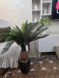 زرع اصطناعي • شبه طبيعي • استعمال قليل