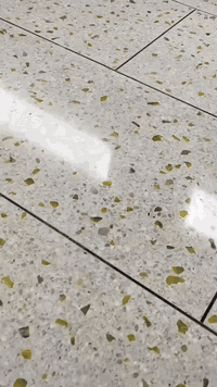 للأستفســــار من المهندس
المنفـــــذ واتساب او اتصال 
                     👇 
***********
***********
