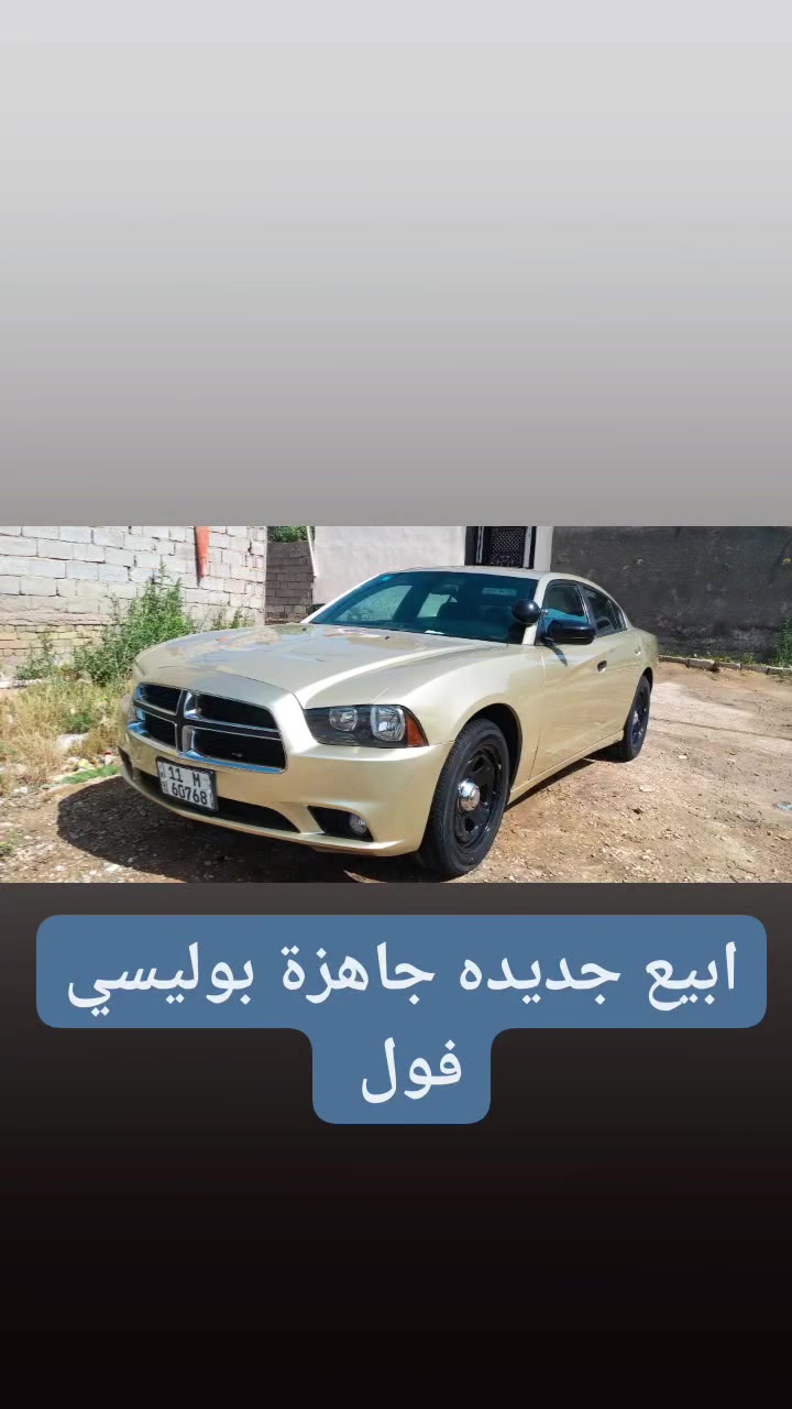 تفاصيل داخل الصور سياره
