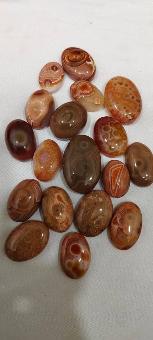 Red Sulemani


**إذا كنت صاحب هذا الإعلان وتريد حذفه لأي سبب، رجاءا أرسل رسالة إلى الدعم الفني**