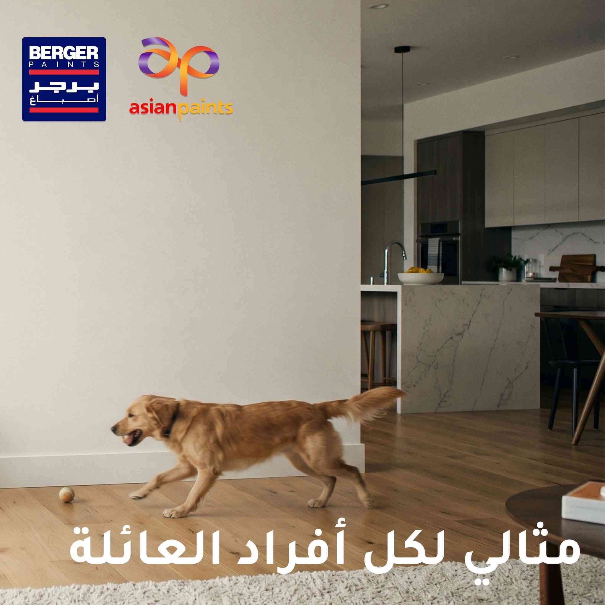 الطلاء الاذكى من #اصباغ_برجر_الانكليزية #سمارت_كلين  مقاوم للبقع العنيدة لانه #قابل_للغسل مقاوم للفطريات والعفن مزود بأحدث تقنية التي تجعل الماء يتكوّن على شكل قطرات تنزلق بسهولة عن السطح، مما يوفر حماية أفضل من الرطوبة ويحافظ على نظافة وجمال الطلاء لفترة أطول.
تقنية مرنة تمتد مع حركة الجدار لتغطي الشقوق الدقيقة وتحافظ على نعومة وجمال الجدران لسنوات طويلة.... متوفر
 #طافي و #لامع 
اطلبة الان من معارض اصباغ برجر فلسطين 
***********

 #اصباغ_برجر في #العراق
