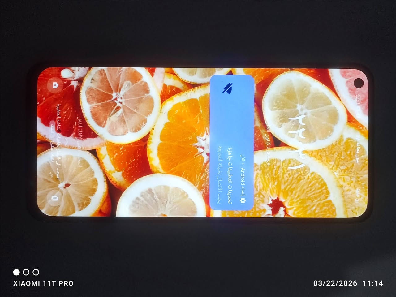 120 الف مع التوصيل 
ريلمي GT Master 

جهاز نضيف كلش مبدل شاشة ام البصمه

ذاكرته 256 داخلي (16) 8+8

توصيل موجود 

رقمي ***********

مكاني بغداد دورة
