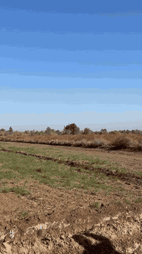 كربلاء طويريج • ٢ دونم • سند مستقل