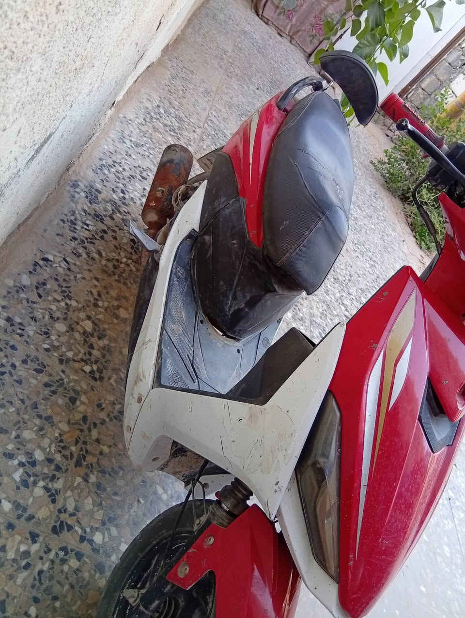 للبيع بتتاخد بدال الجديد دايره مرش فول مواصفات


**إذا كنت صاحب هذا الإعلان وتريد حذفه لأي سبب، رجاءا أرسل رسالة إلى الدعم الفني**