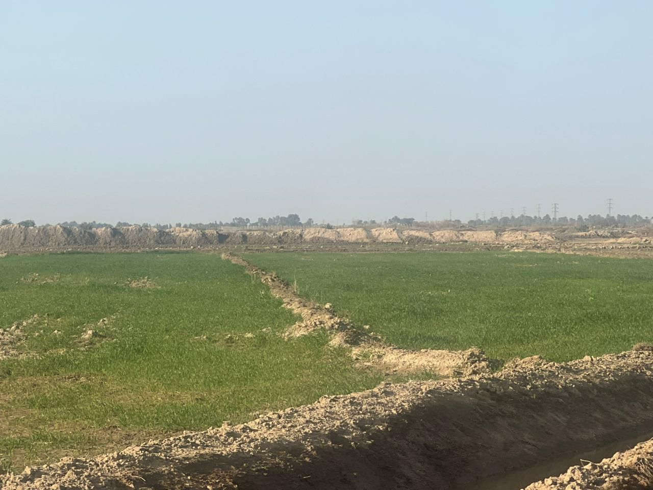 ارض زراعيه للبيع تفاصيل اتصال ع رقم هاتف ***********
