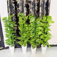 للبيع • استفسار خاص • ديكور