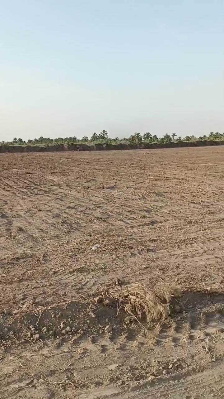 أرض زراعيه للبيع
طابو نموذج 25 مكان مقابيل حي تربه مقابيل قطعة النصر ترحب بكم تبعد عن شارع العام كيلو متر  مساحته دونم 877 السعر 30 مليون وبيها مجال للشراي ***********
