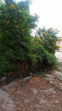 ١٣٠م • شارع 80 • خلف مدرسة زهور بابل