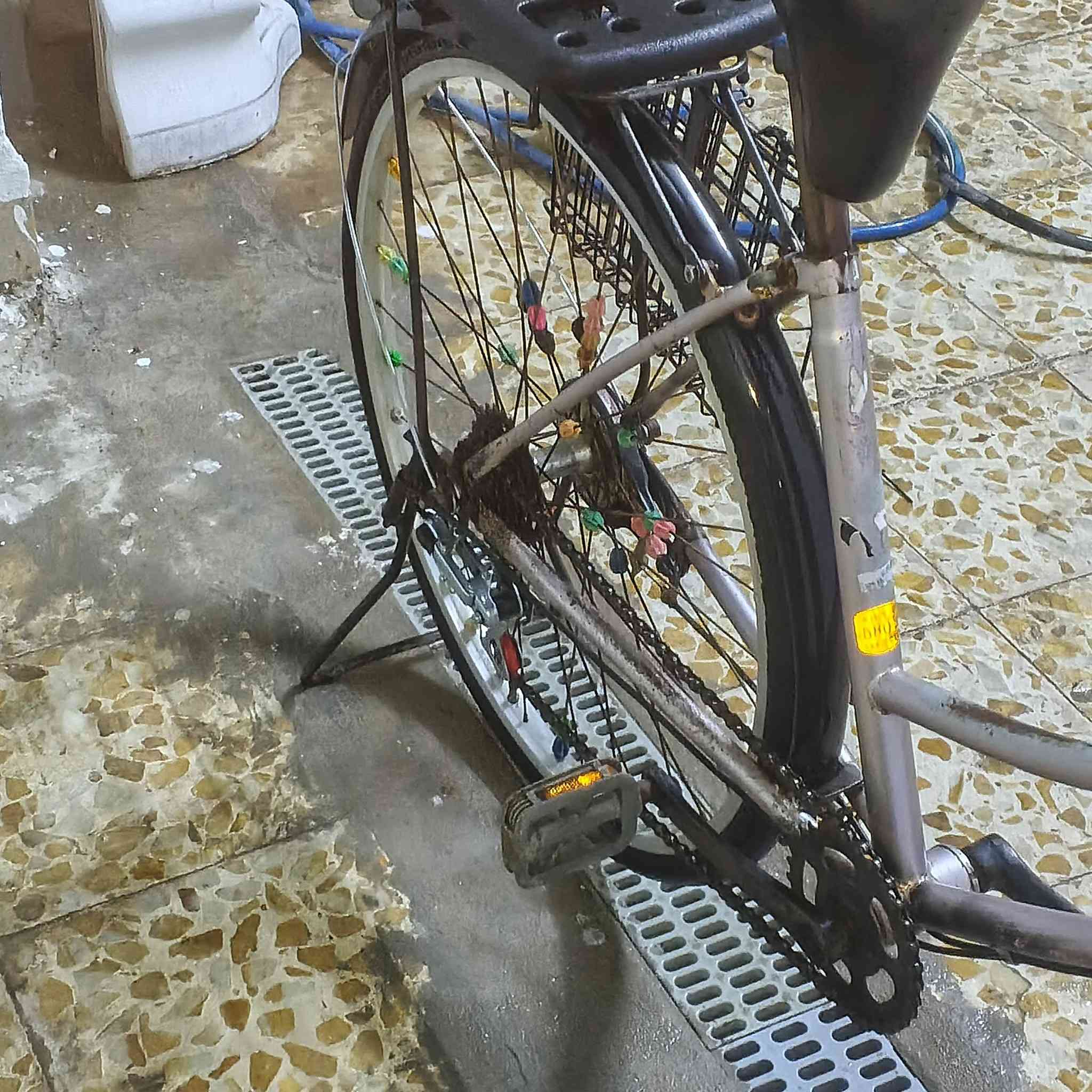 سلام عليكم بايسكل بناتي 🍌
حجم26

بايسكل نضيف

عكرب6نمر

بكان الحسينيه مال راشديه

سعر65وبي مجال

الستفسار***********خط

الستفسار***********واتساب
