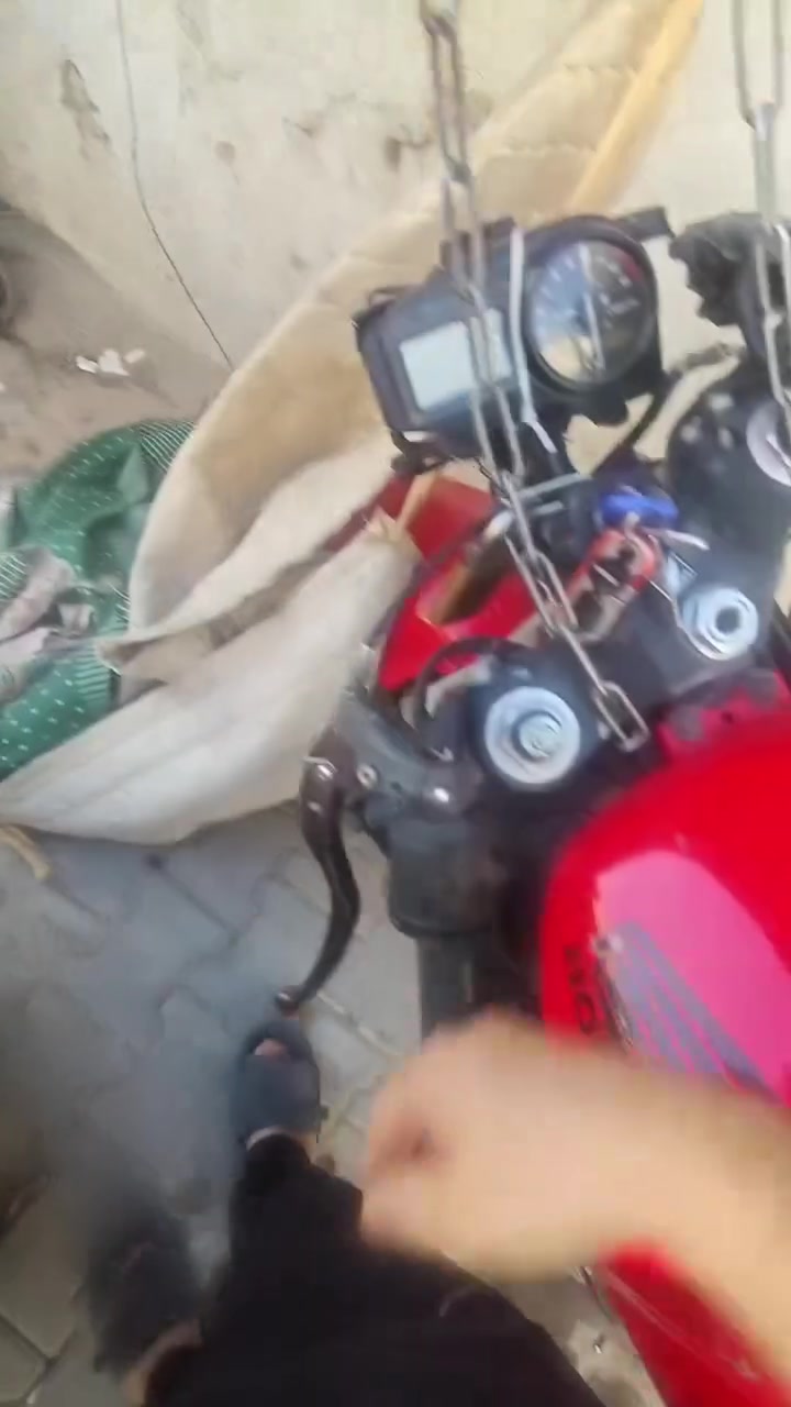 ///سلام عليكم ////
اقرو الكاتبه بي سعر وكل تفاصيل وموجود بلخاص تواصلو وياي اذا واحد يريدهه////
بسبب الوعود الكاذبه اعاده نشر
دفل 954 بيهه صوت يطغ وتفاصيلهه بلمنشور ما اتعبكم من الاخير بيع او مراوس حسب الرغبه حته لو فرق بسيط(((سعر مليون وميه)))
دراجه جديده تايرات جدد باتري جديد ضفيرتهه كلش جديده صالنصه اصليه اكربوفج وچاملغ جاي من الخارج كاربون وبيهه هواي شغلات حلوه علما دراجه بيهه اوراق 
عنواني بغداد الحريه /حجز ما احجز تجي تفحص بعينك تعجبك اخذهه متعجبك وطلع بيهه شي غير اليطغ وقبق بانزين وعدك واشر الكلجات تعبان بي نضوح بسيط وذا طلع بيهه غير هاي الشغلات دراجه ترجع///متواجد بلخاص راسلوني وسهله


**إذا كنت صاحب هذا الإعلان وتريد حذفه لأي سبب، رجاءا أرسل رسالة إلى الدعم الفني**