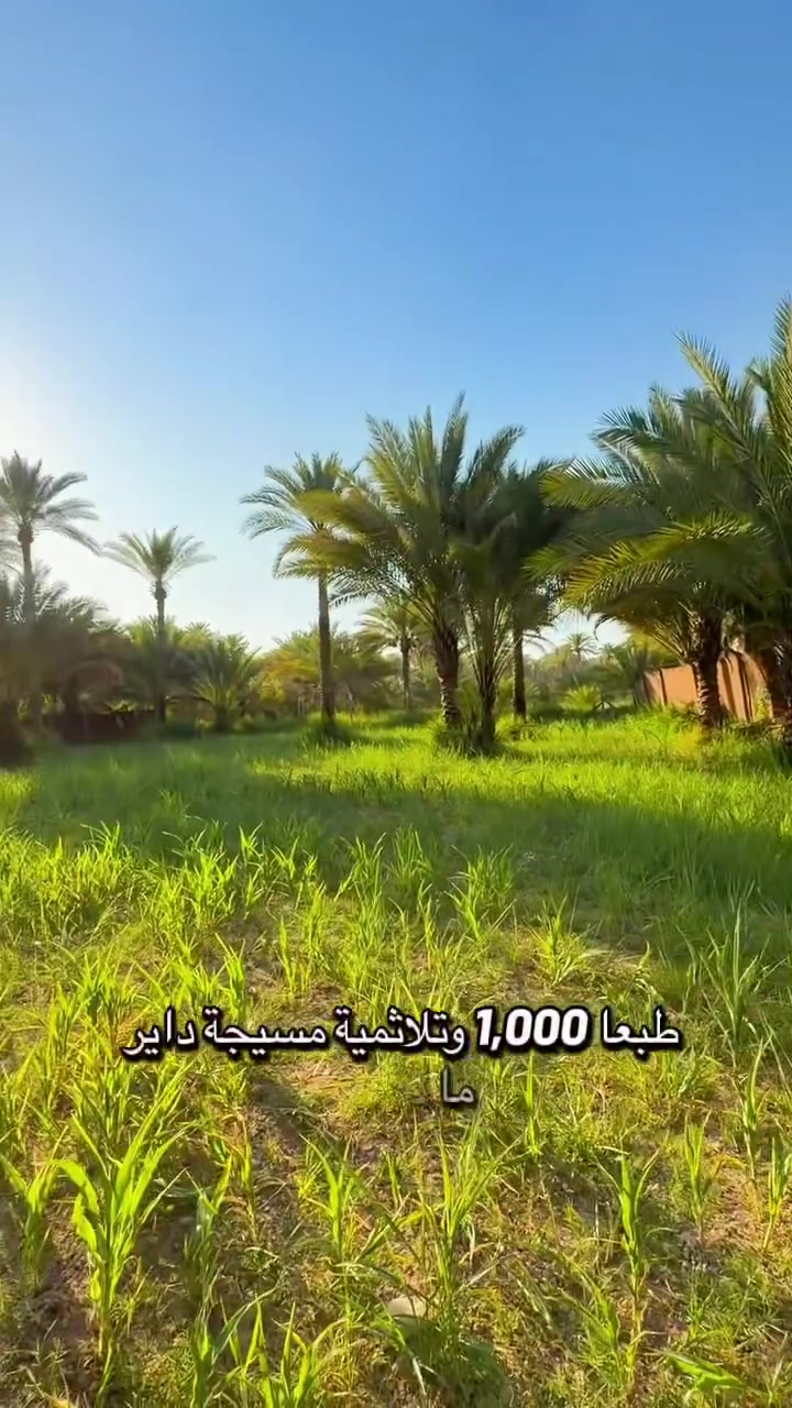 فرصتك لامتلاك الرفاهية 💎
لكل من يبحث عن التميز 

والهدوء، نقدم لكم عقاراً 

بمساحة (1.300 ألف ):!

[كربلاء المقدسه منطقه العسافيات   ].​

​لا تفوت فرصة المعاينة 

 على أرض الواقع!🏝️🍇🍏🍊🍋🍑

 السعر (115) مليون 

للمزيد من المعلومات:

مكتب كربلاء للعقار 

***********

***********
