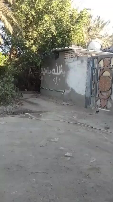 السلام عليكم
دونمين زراعي يحتوي على بيت عدد 2 ونخيل وأشجار 
الوجه عل شارع تبليط متوفر ماء من ألشط وماء بوري اساله  وكهرباء على طريق الشريف الاستفسار والاتصال ***********
