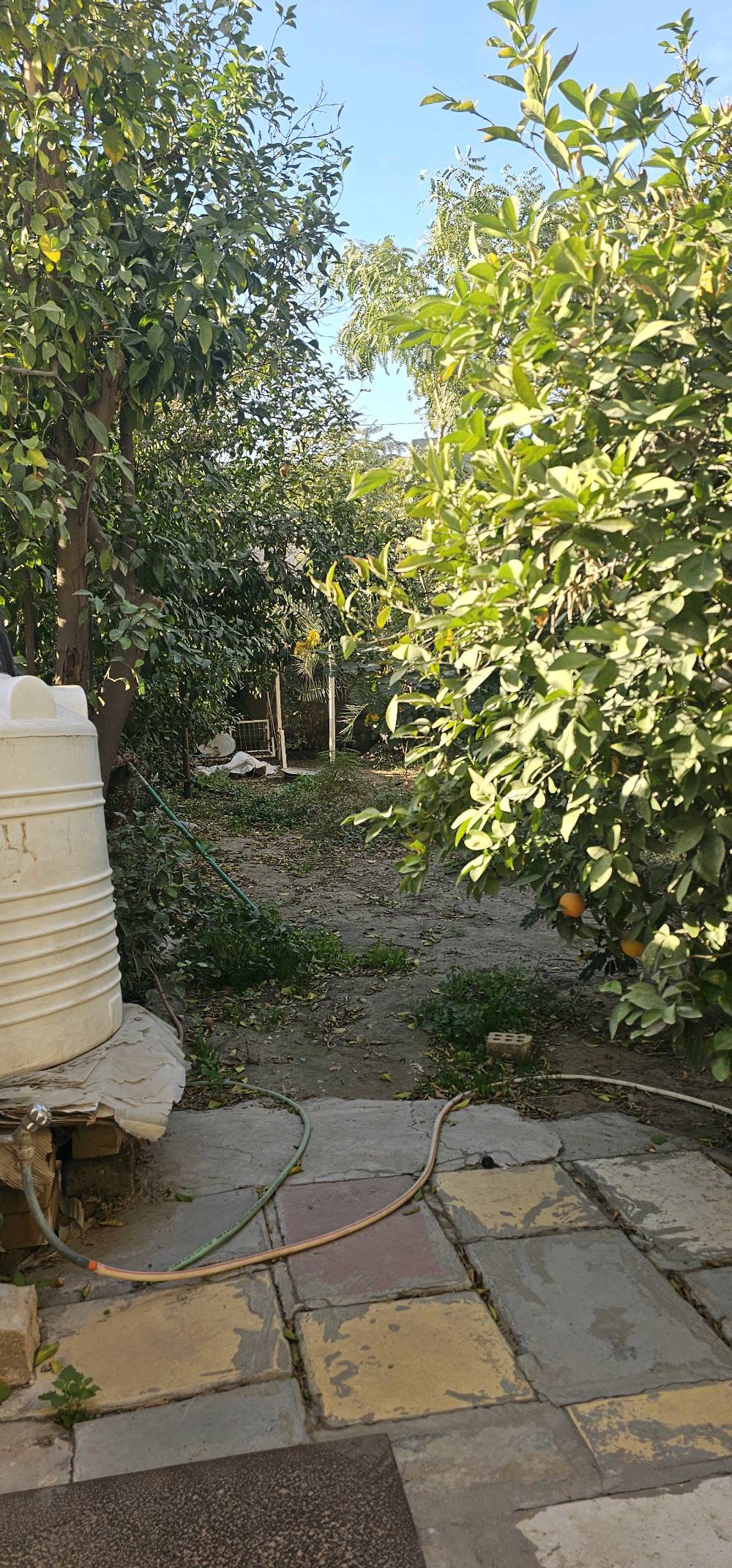 السلام عليكم
دار للبيع المساحه المباعه (294) واجهه(12.80)والنزال(23)
حله .حي الامير بداية شارع الطب العدلي
الاتصال 
***********
***********