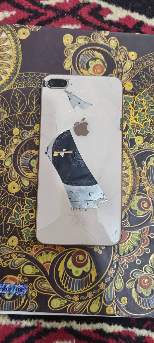 ايفون 8 بلاس ذاكره ٢٥٦ كله شغاله بس ظهر مكسر وسماعه الاتصال واكفت وباقي كله شغال مابي كل نقص قيم واخذ


**إذا كنت صاحب هذا الإعلان وتريد حذفه لأي سبب، رجاءا أرسل رسالة إلى الدعم الفني**