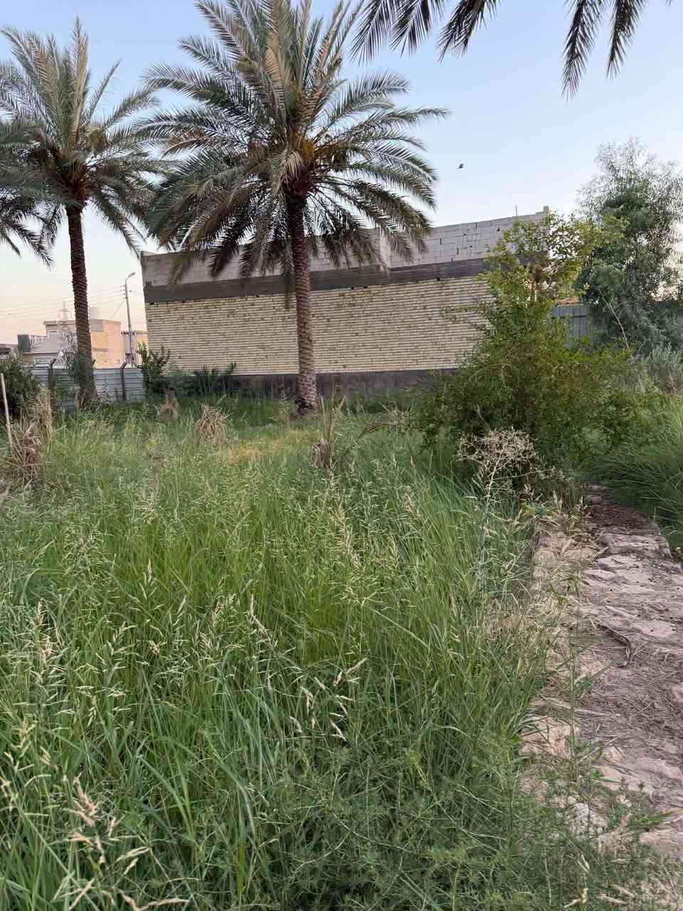 السلام عليكم 
يعلن مكتب الوسام الذهبي عن وجود مزرعه 1170م 
طابو زراعي
موقع استراتيجي مهم
واجهيه 37
نزال 35
سند حديث 25
متوفره كافه الخدمات ماء وكهرباء وتبليط 
عرض الشارع 15
مزروعه ومخدومه بل الكامل 
🌳🌳تجمع بين الهدوء والرفاهيه
المزرعه تحتوي على انواع مختلفه من الأشجار والنخيل وجلسه عربيه مهيئه وكامله ويمكن استثمارها بقاعه اعراس اوشاليه
موقعها  قريبه جداا عل الكورنيش تبعد مسافه 400م فقط 
العنوان حله بابل زوير الغربي قرب حسينيه الرسول 
الاستفسار اكثر مراجعه المكتب الكأئن في زوير الغربي 
او الاتصال ع ارقام المكتب 
واتساب ***********
نتشرف بزيارتكم
