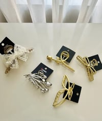 قراصات • ألوان مختلفة • أشكال متنوعة