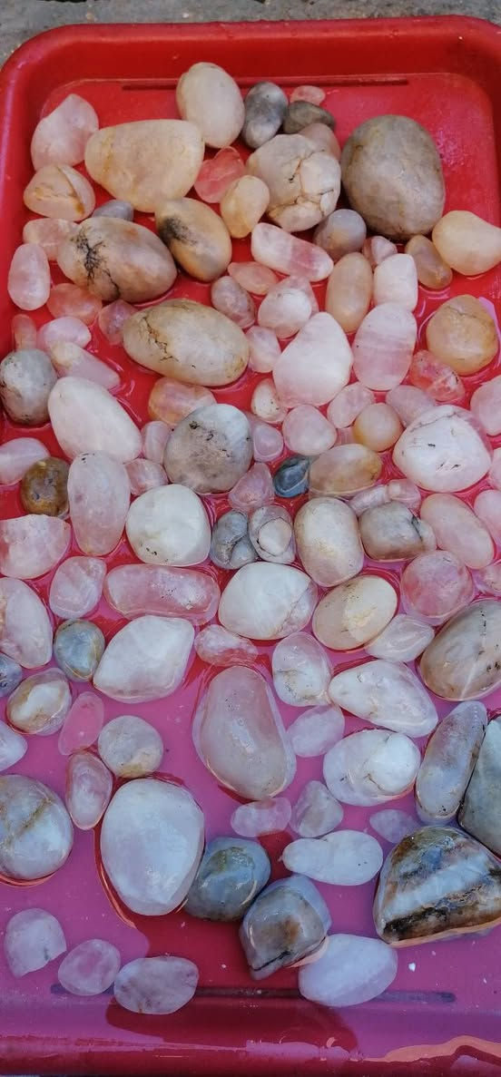 اصحاب الاختصاص الحجارين الجراخين الي ع باب الله المهتم يراسلني ويدلل در نجفي بالذمه خام وحسيني وعقيق ملاكط ملون


**إذا كنت صاحب هذا الإعلان وتريد حذفه لأي سبب، رجاءا أرسل رسالة إلى الدعم الفني**