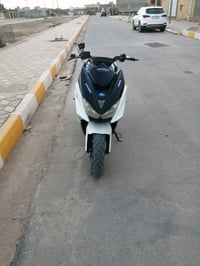 ماكس • سلف • كهربيايات