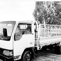 دانيه المدير • ٢٠٠٥ • قضاء واسط