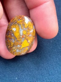 الطبيعي • متوفر • سعر مناسب