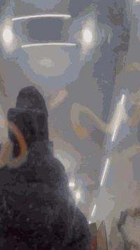 رنبه • جديده • مكفوله