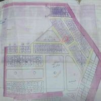 ام العصافير • ٢٠٠م • قطعة ٢٣٧