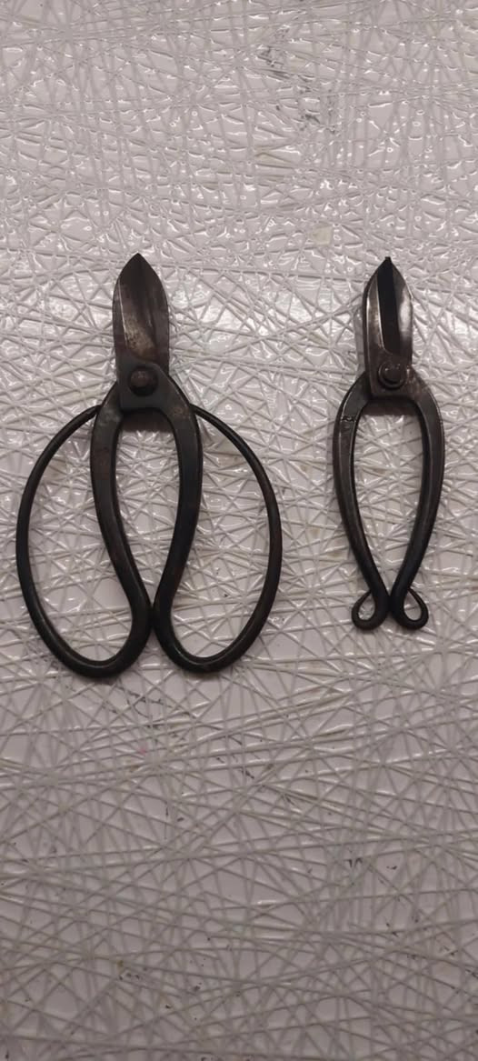 السلام عليكم عدد اصلي للبيع الحجز واي سؤال على الواتساب او الخاص *********** ويتوفر توصل
