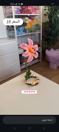 بتلات مخملية • هدايا • توصيل