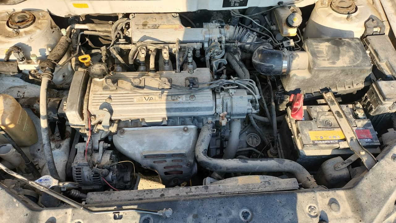 سلام عليكم امكراند موديل ١٣ سياره مكفوله من حادث
مكينه وكير كورلا السياره جاهز وخير من الله السونر مرفق ويه الصور رقم اربيل
تريد وكاله تحويل
مكان سياره بغداد
السعر ٥٥ بيها مجال بسيط
***********
