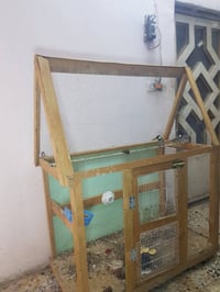 زوج بلابل • جالسات • قفص