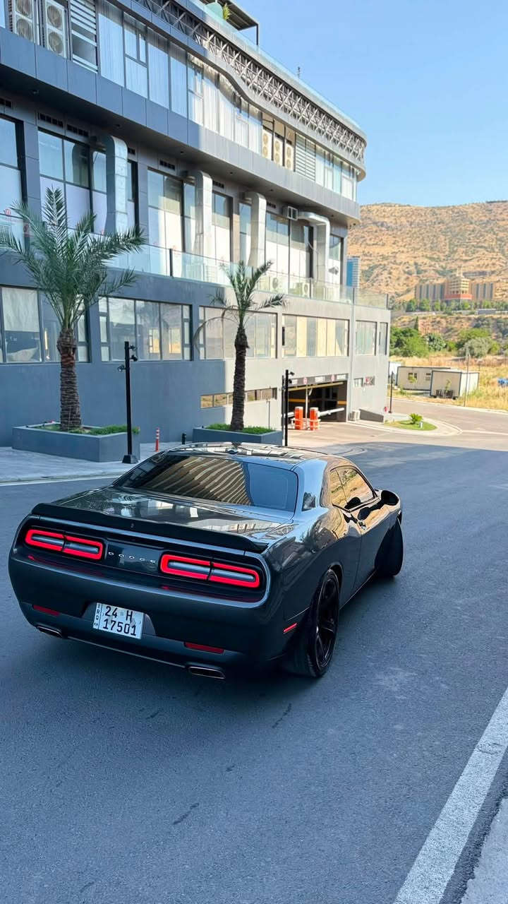 Dodge challenger 2020 SXT 
صبخ بس بونيد صبخ بدون شاصي 
لون نفطي
محرك ٦ سلندر بدون اي شي كير محرك شرط
ارباك سيستم 
مواصفات كشن جلد كاميره بصمه 
ماشية ٨٣ميل 
١ قطعه صبخ شرط بدون دواخل 
مكاني دهوك 
تبريد كهرباي شرط 
رقم سنوي جديد بسمي تريد تحويل+ وكاله شرط
مسج مابي 
سعر١٦٤ ورقه 
مكان دهوك 
رقم شاصي 2C3CDZAG7LH223173


**إذا كنت صاحب هذا الإعلان وتريد حذفه لأي سبب، رجاءا أرسل رسالة إلى الدعم الفني**
