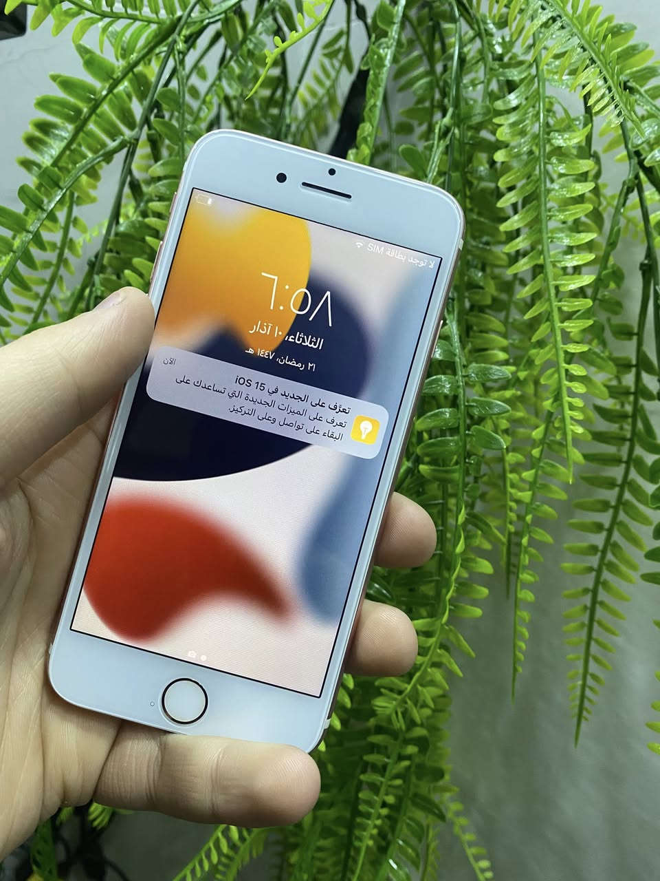 السلام عليكم
ايفون7 
ذاكره128
بطاريه100  اصلي مبدل
الجهاز نضيف شرط 
كلو شغال ضمان
فقط مبدل شاشه اصليه
المكان الموصل ايسر
الشراي يتصل او يتدلل ما نتختلف ان شاء الله ***********
السعر 60 الشراي يتصل او ما نختلف
