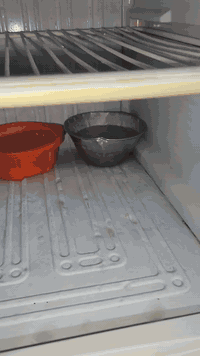 السلام عليكم ثلاجه كونكورد فرنسيه  نضيفه فوك وجوه تجميد   سعر150 الف نهايته125🔒الف رقم صاحب الثلاجه ‏‪***********‬‏
