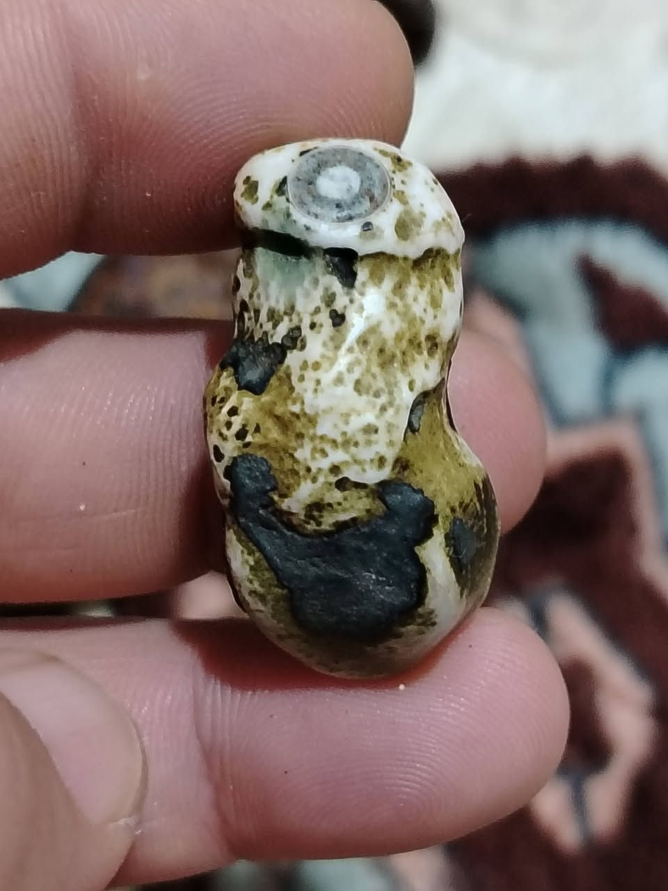 عرق يماني لوي 
متوفر


**إذا كنت صاحب هذا الإعلان وتريد حذفه لأي سبب، رجاءا أرسل رسالة إلى الدعم الفني**