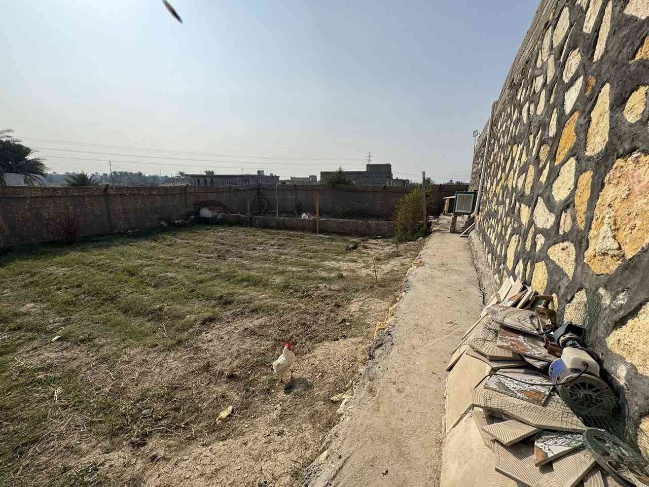 للبيع | بيت على مساحة 1000 متر 🌾
ملاحظة: العروض مع الأسعار في قناة التليجرام 📲
https://t.me/aliathabb

عقد زراعي 🌱
مساحة البناء 240 م²
🏡 استقبال + هول مطبخ  | 🚪 كليدور | 🚿 مجمع صحيات
🛏️ غرفتين نوم | 🌿 منور يحيط بالبيت

📍 الموقع: قرب السادة – البو خطة

📞 للاستفسار والمعلومات:
مكتب بيت بيوت الشمري
علي عذاب – ***********

⸻
📍 موقع مكتب بيت بيوت على الخريطة:
https://www.google.com/maps?q=32.451389,44.430278
